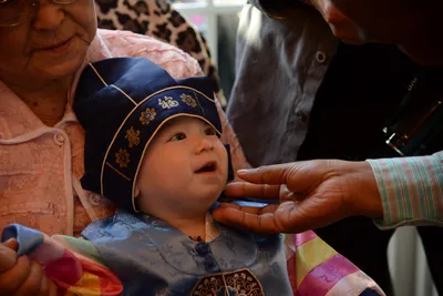 DSC_6342 (Large).JPG